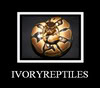 IvoryReptiles's Avatar