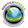 Reptile Express's Avatar