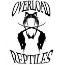 Overload Reptiles's Avatar