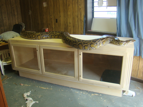 Cage Snake Enclosures