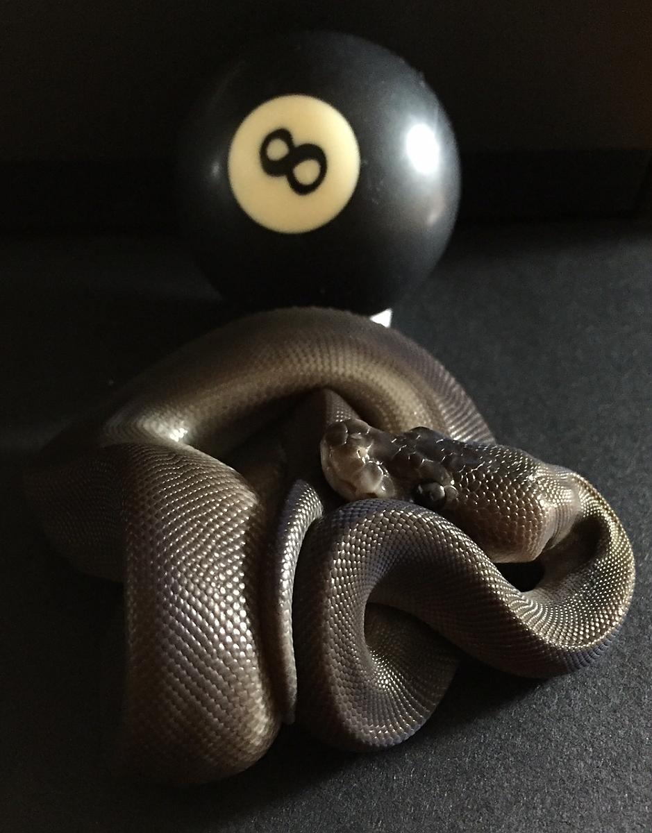 My 8 Ball (Super Black Pastel)