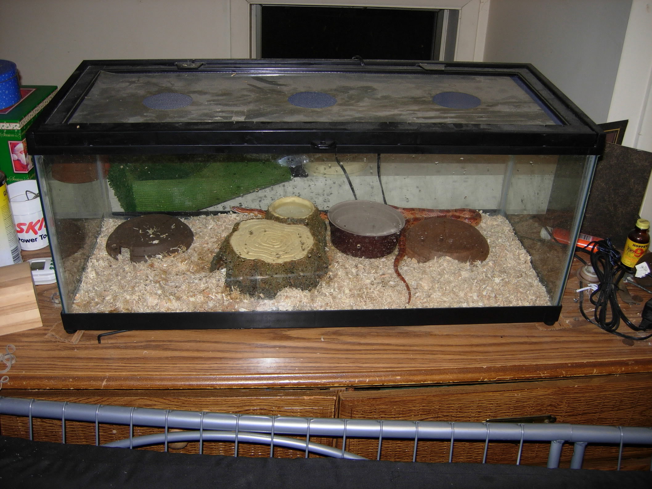 Custom 4 x2 x2 cage ball python okeetee corn enclosure