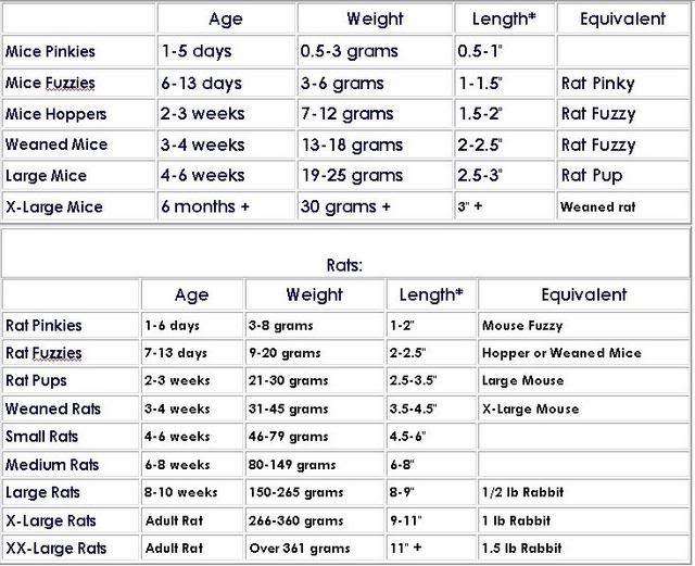 corn-snake-feeding-chart