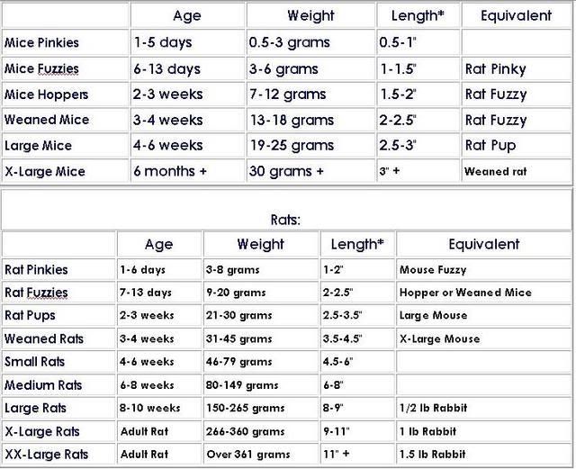 Proposed Ball Python Feeding Chart - Page 2