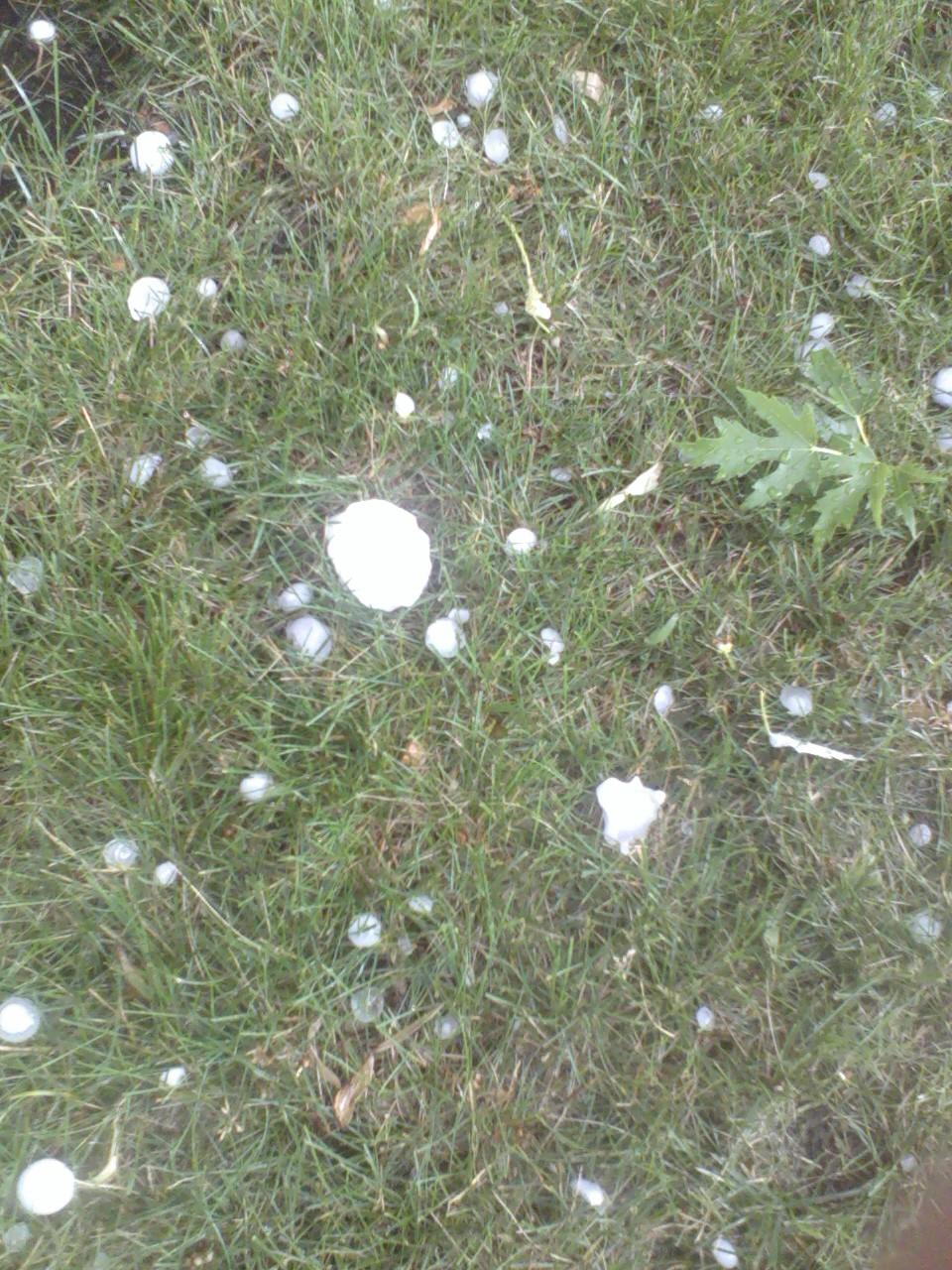 Hail