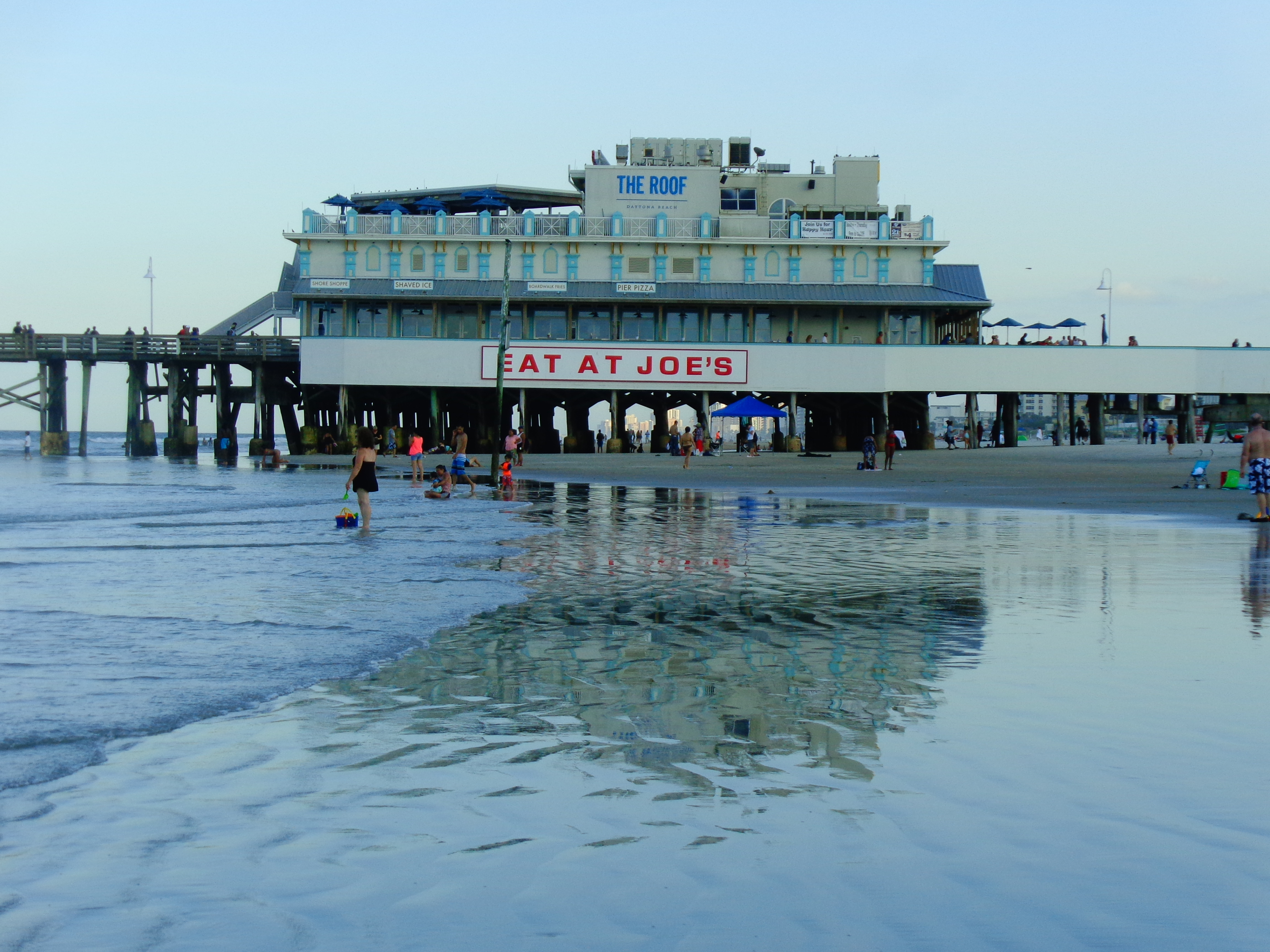 NonReptile Daytona Beach Pics