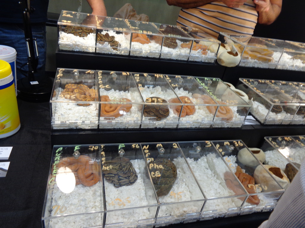 Kentucky Reptile Expo