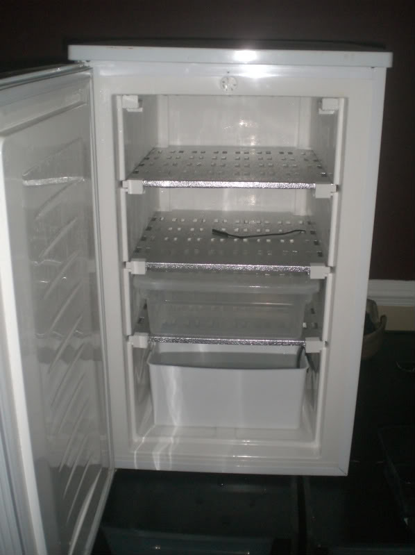 ball python incubator