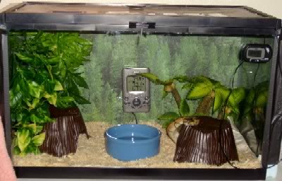 Enclosure Pics Please