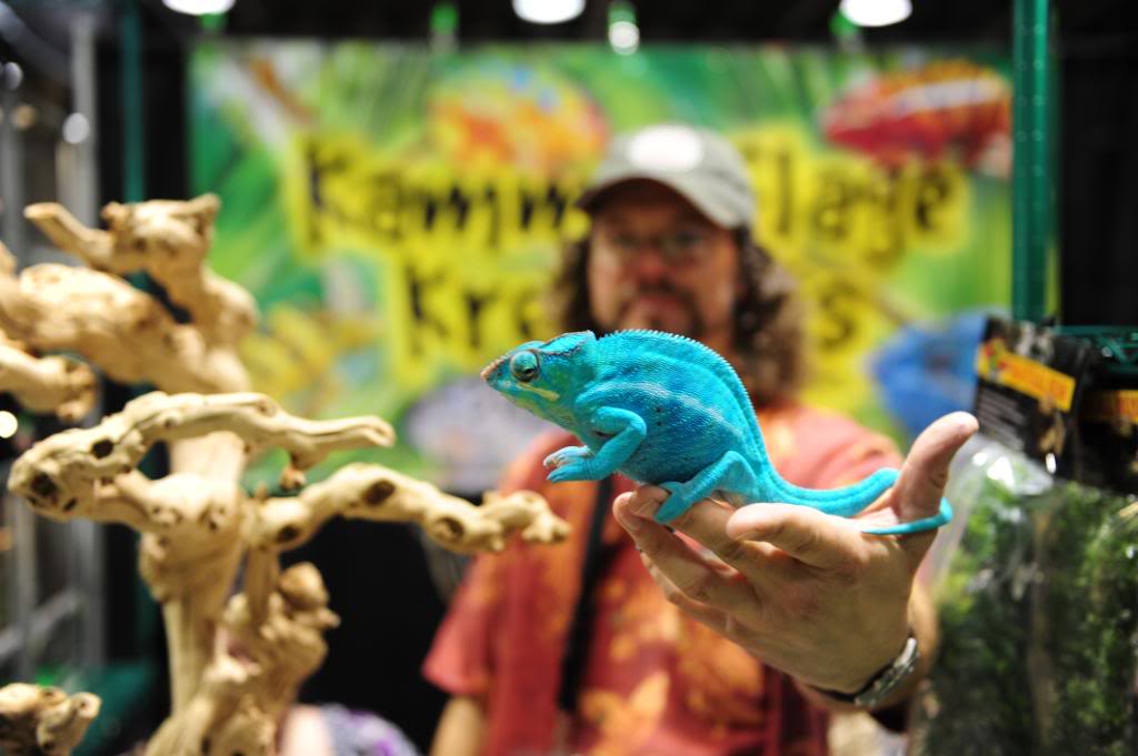 Pics from the Reptile Super Show January 910 2010