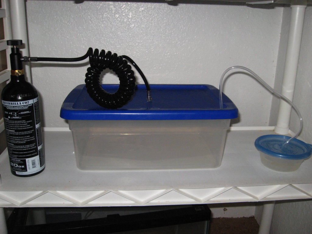 co2 rats euthanize breed hit dad step says want users thank say following