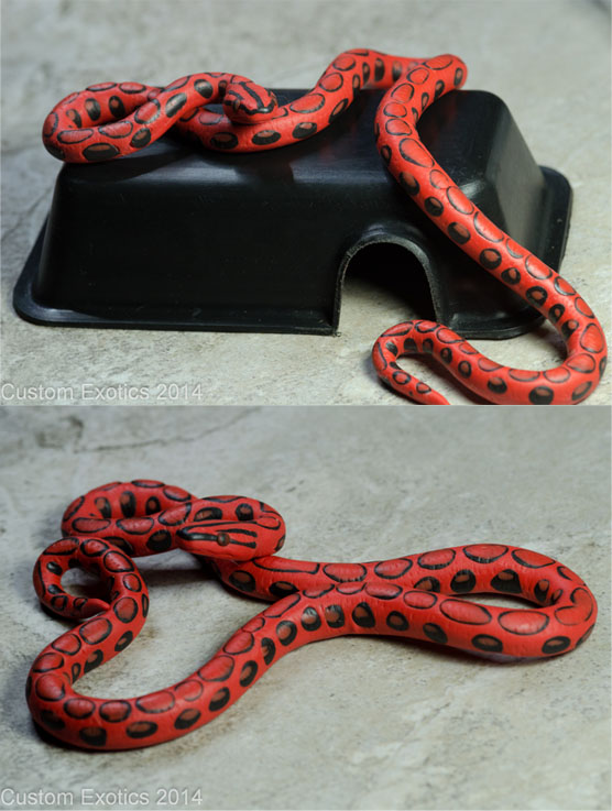 Get Albino Brazilian Rainbow Boa For Sale PNG