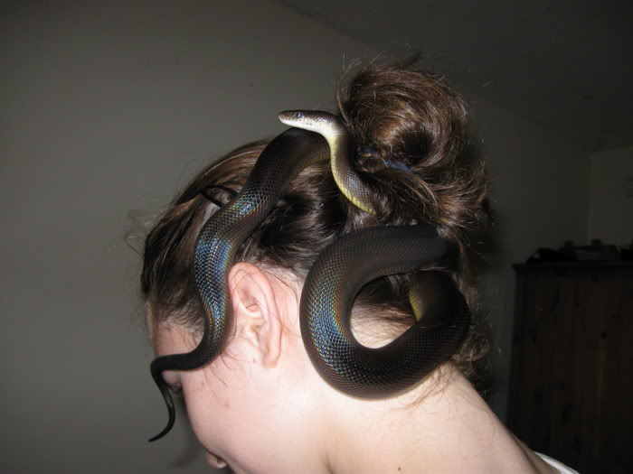 Snakes in your hair! (duw)