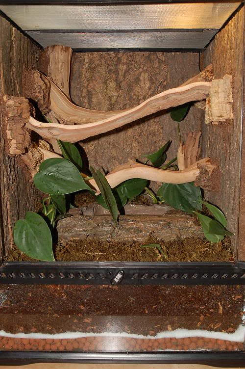 red tail boa enclosure