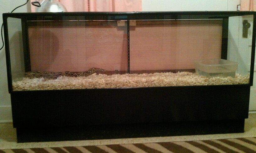 New boa enclosure