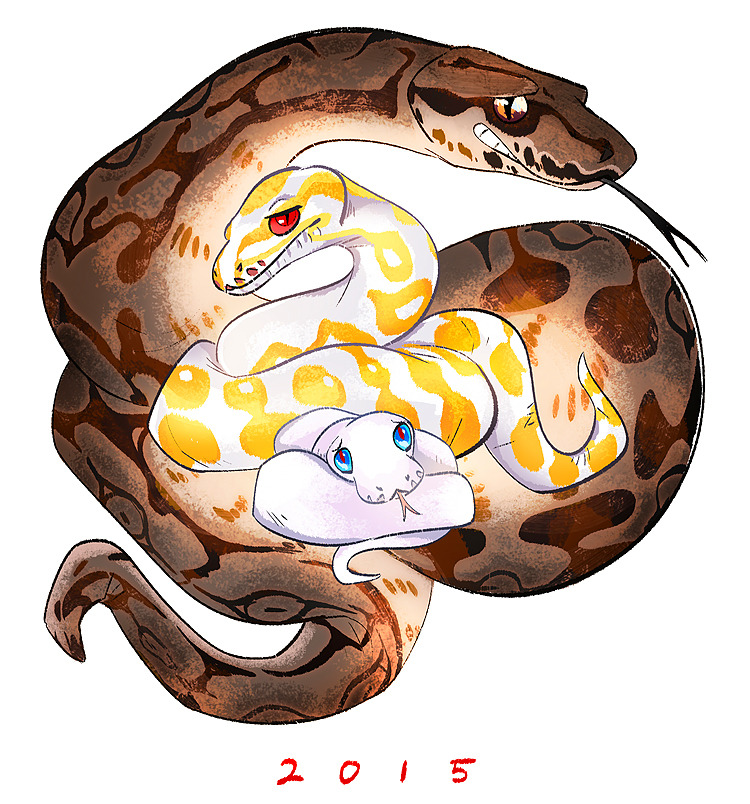 Cute Ball Python Drawing