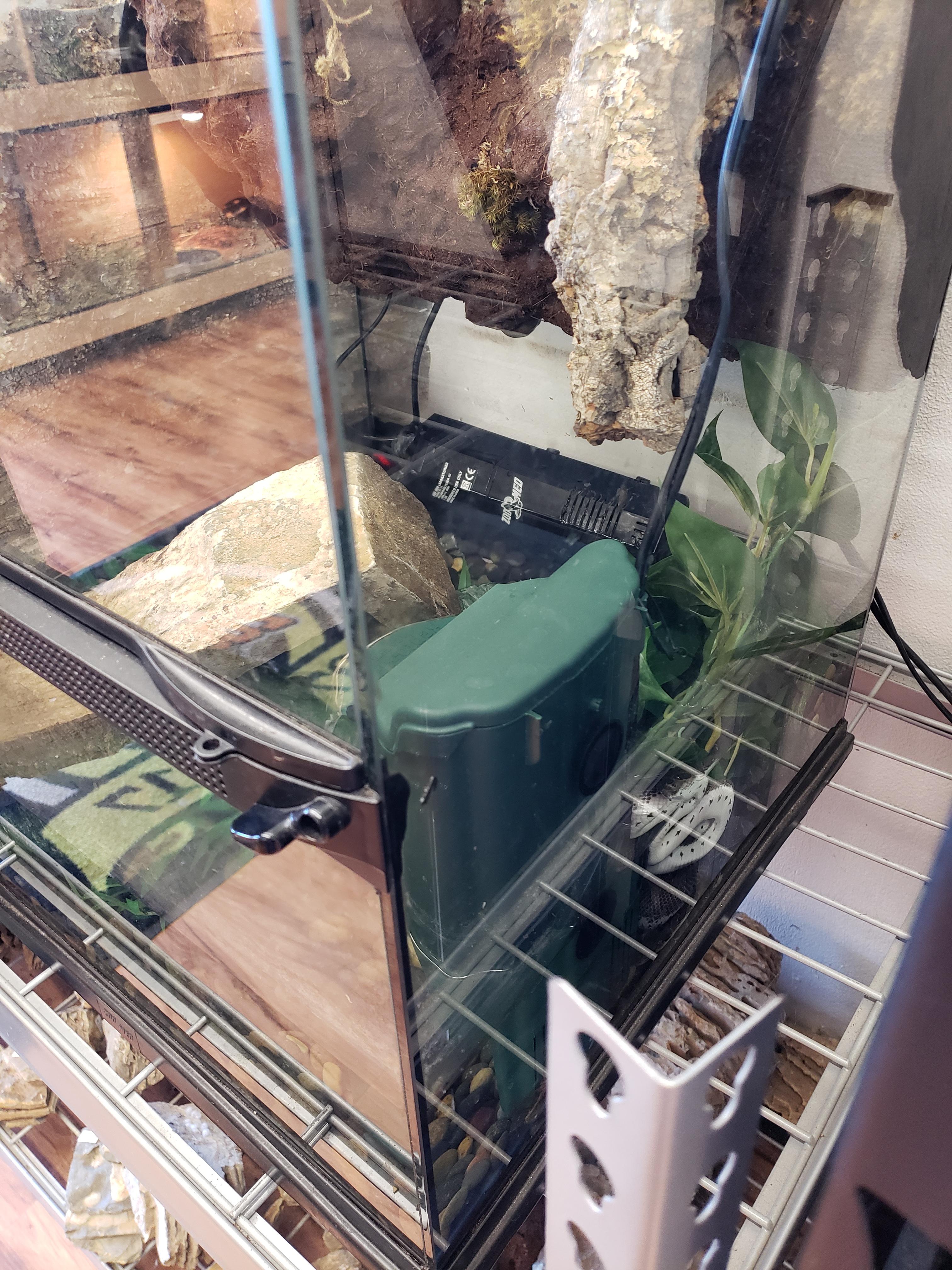 A Visit to The Reptile Factory