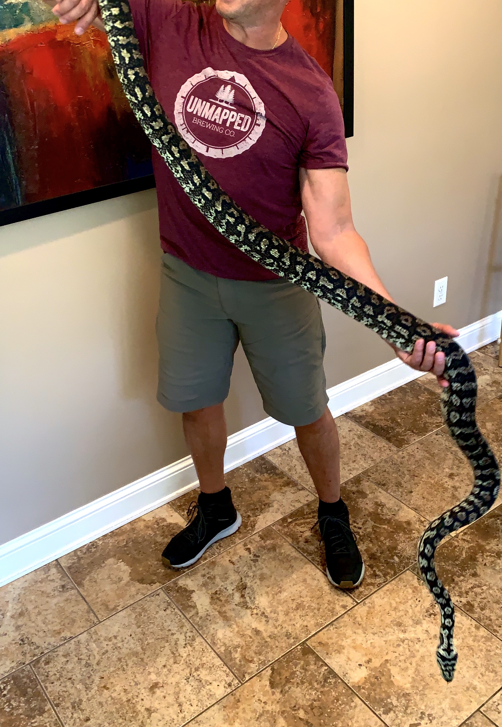 Coastal Carpet Python