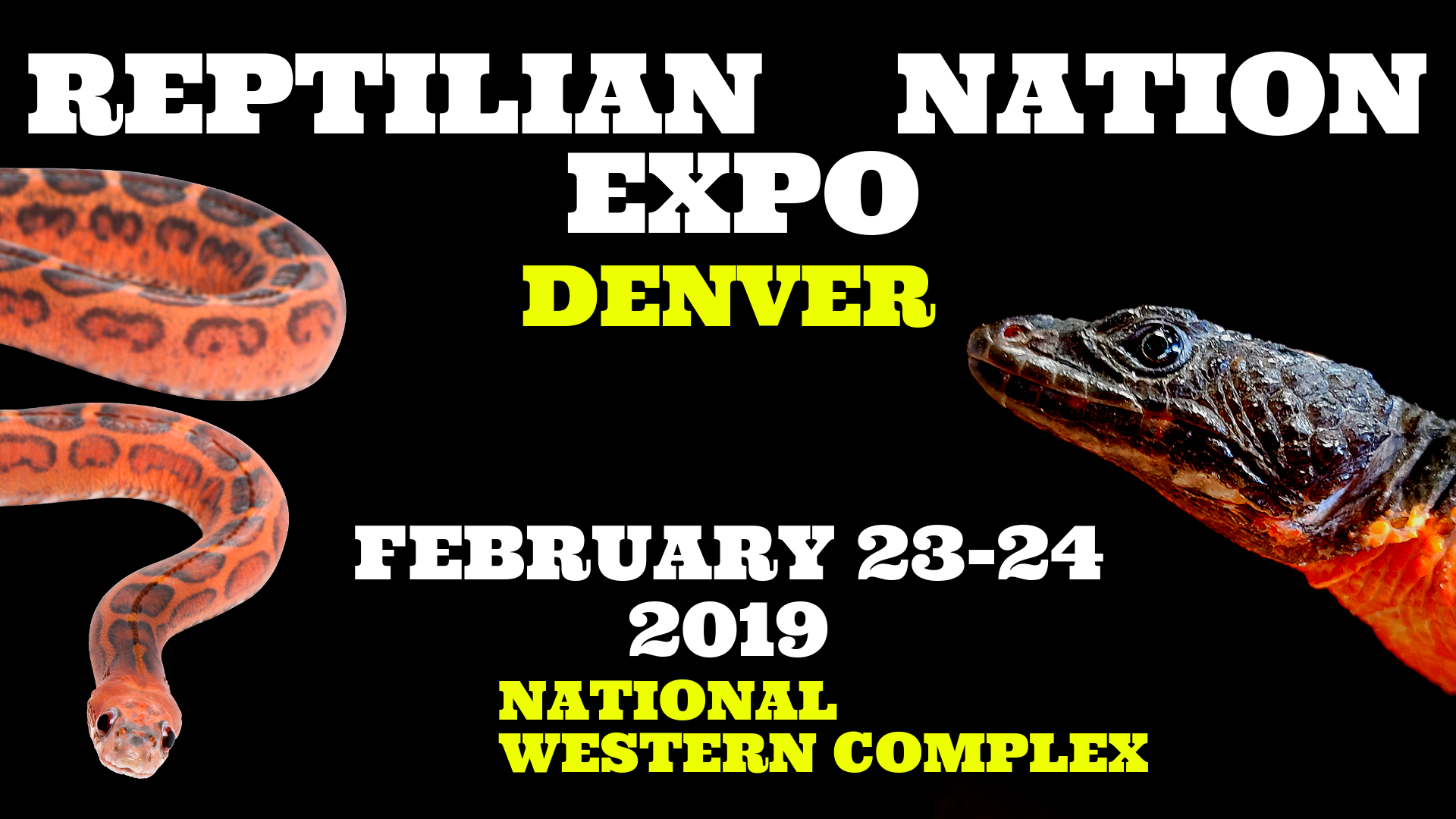 Reptilian nation expo denver, (co)