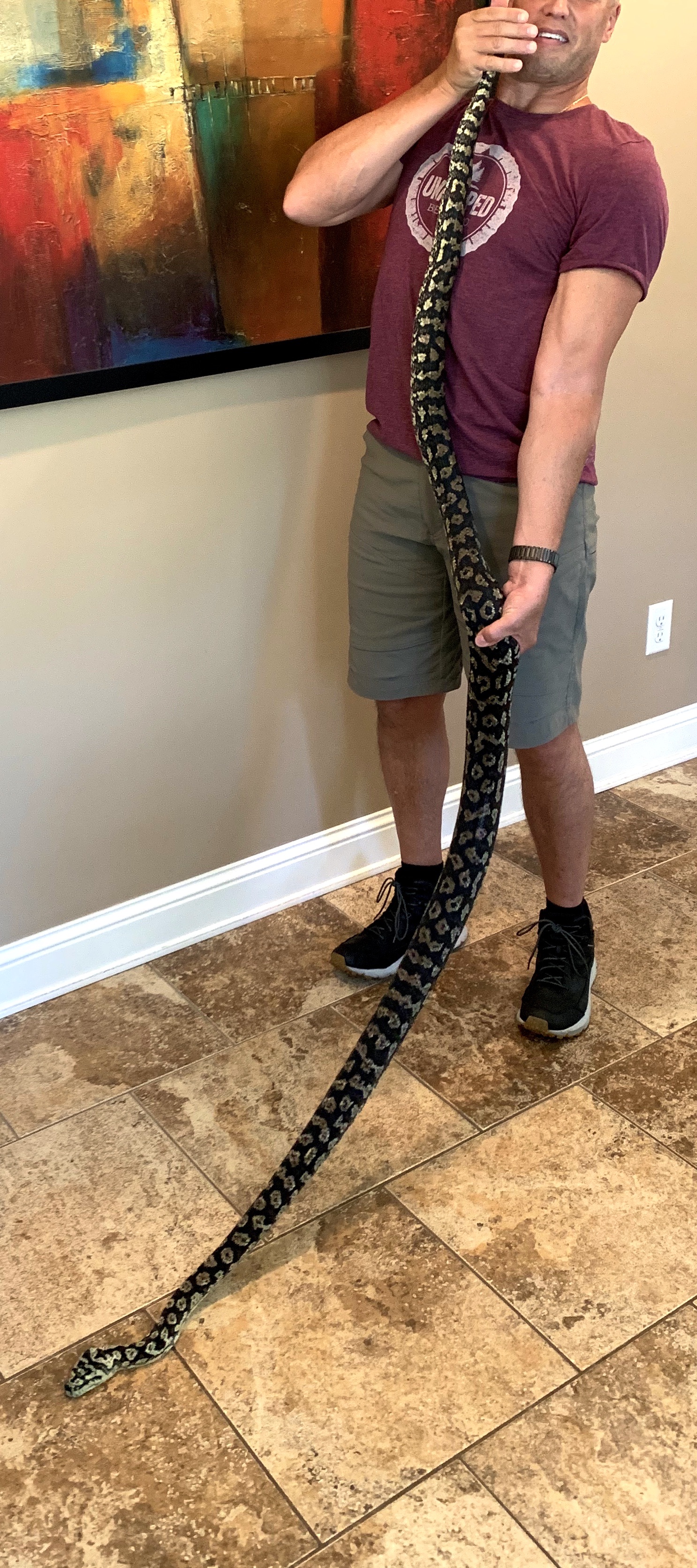 Coastal Carpet Python