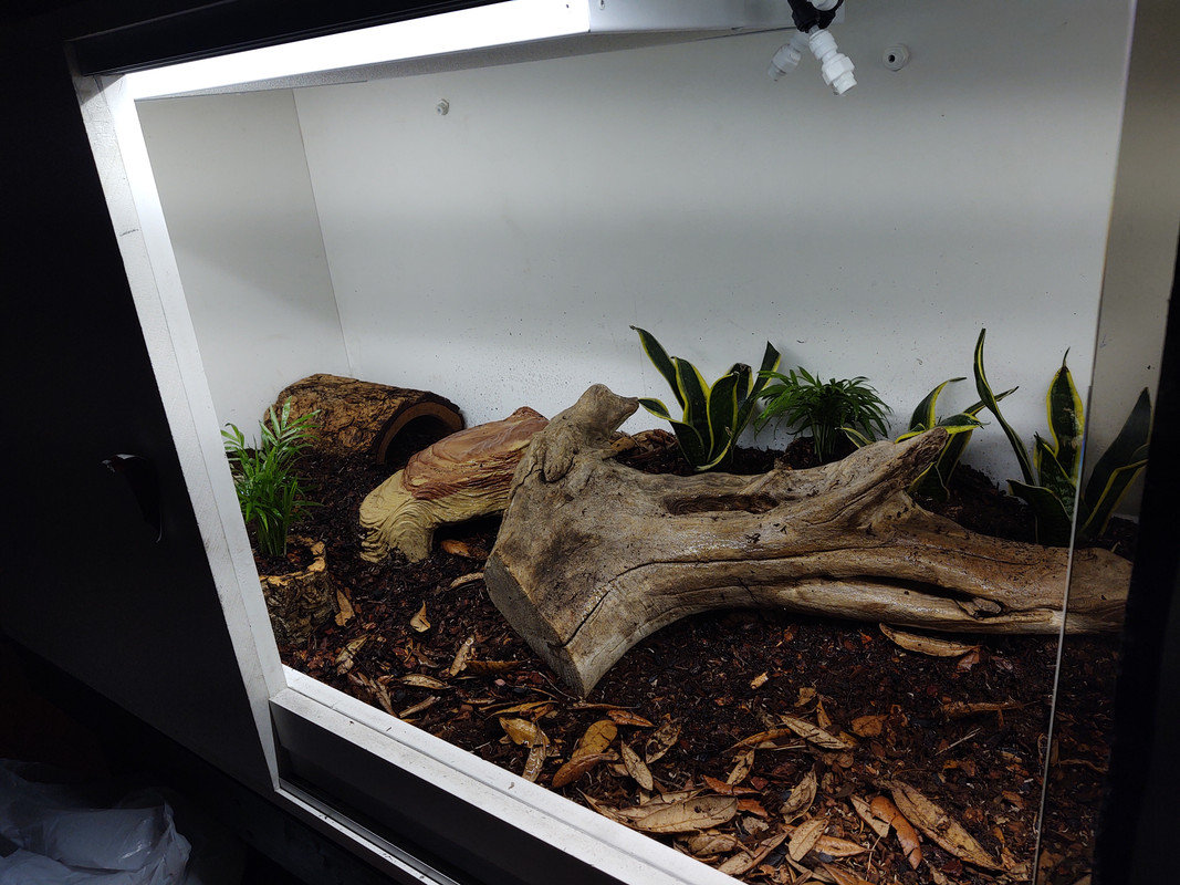 diy boa constrictor enclosure