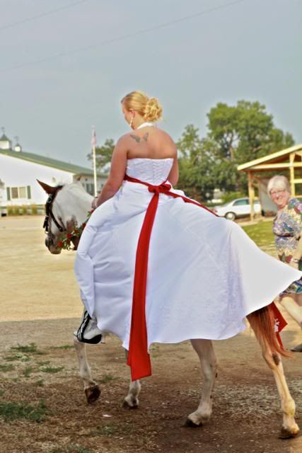 Here is the horse part of the wedding!