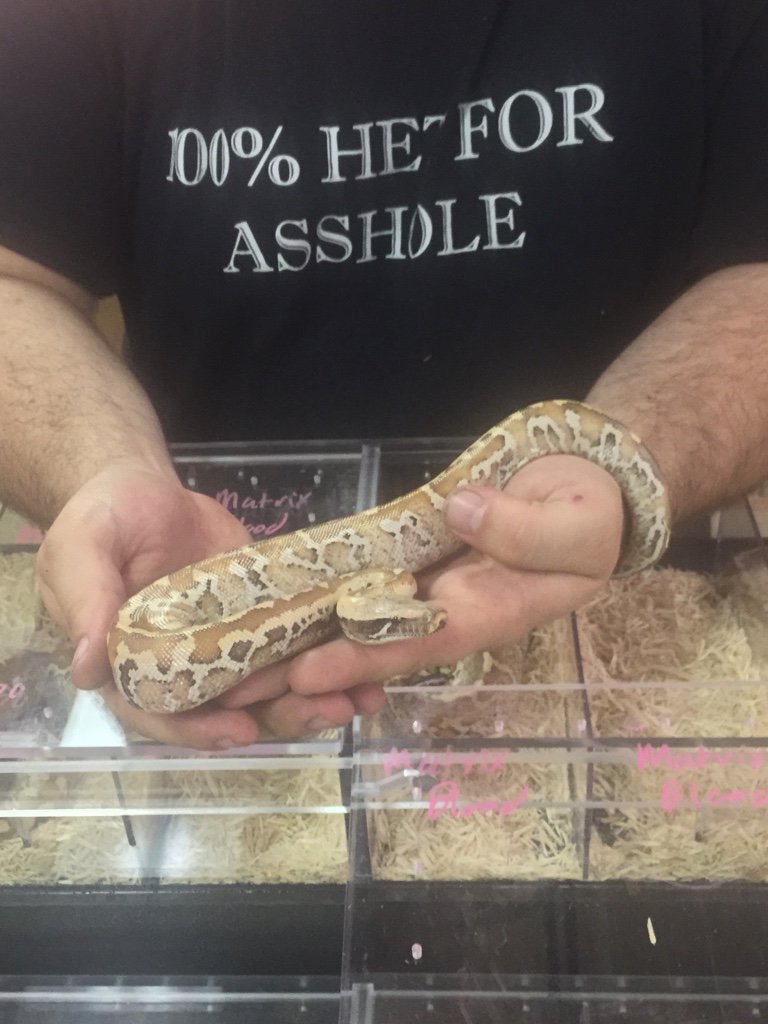 Repticon Dallas