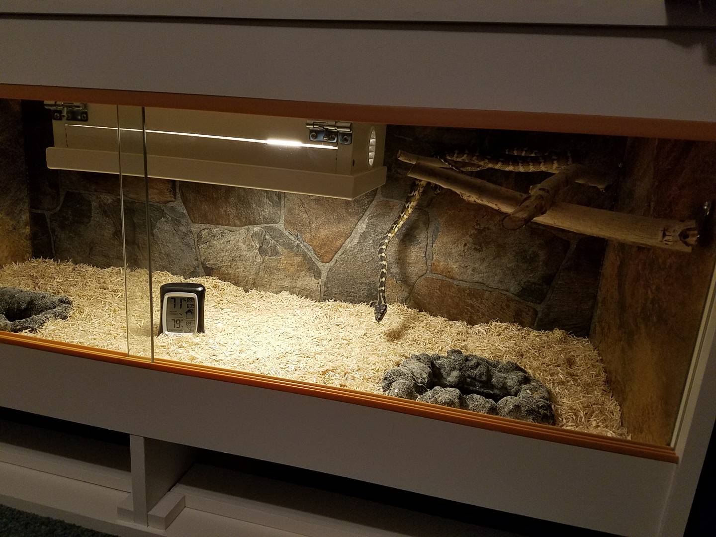 DIY cage with underground hides - Page 4