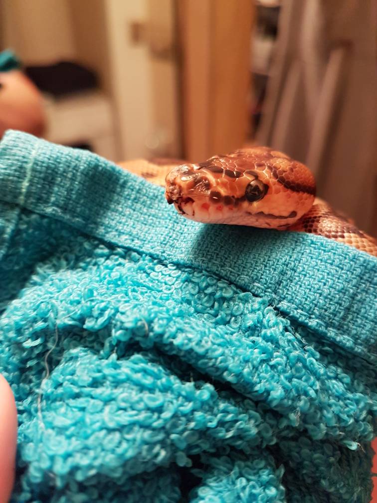 Substrate or injury?