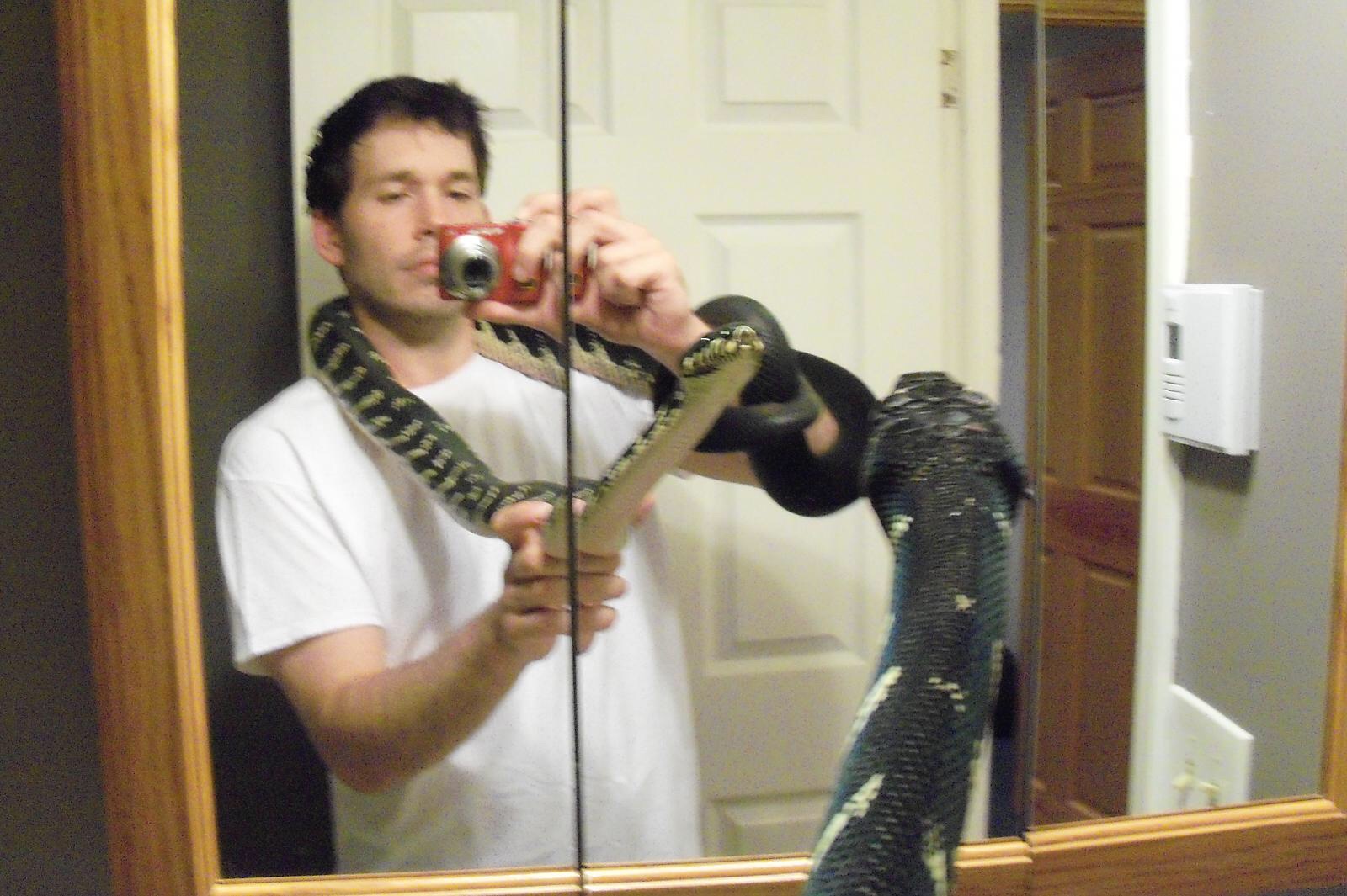 Boelen Python
