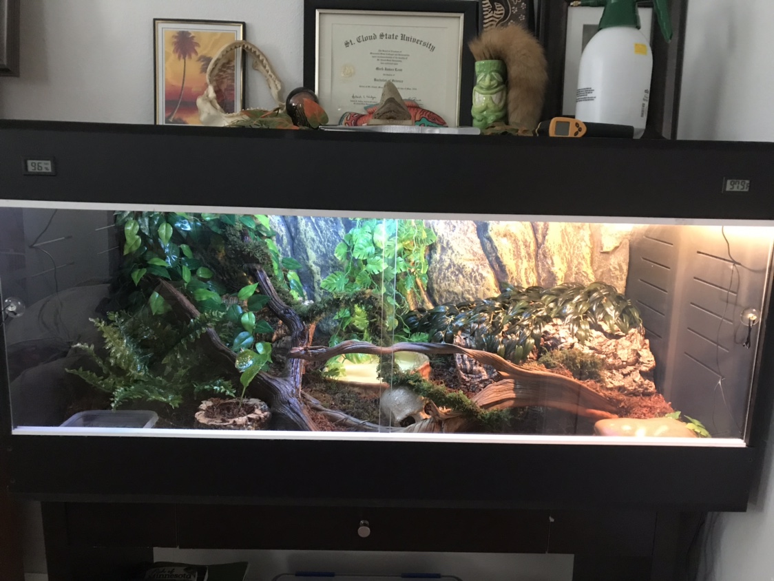diy boa constrictor enclosure