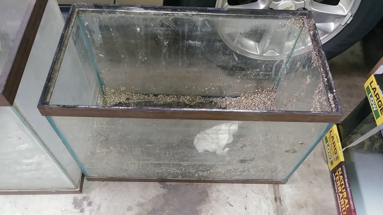 Can I Clean This Part 2 How To Clean A Reptile Tank With Vinegar