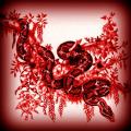 Shelby621's Avatar