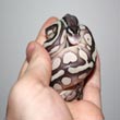 ball python morph's Avatar