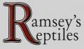 ramseysreptiles's Avatar