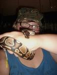 bootheballpython's Avatar