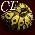 cabanaeclipse's Avatar