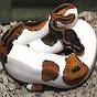 MightyPythonExotics's Avatar
