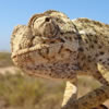 bplover420's Avatar