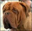 BNR's Avatar