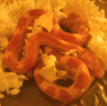 ElSass's Avatar