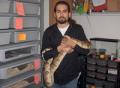 Ziller Reptiles's Avatar