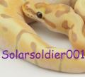Solarsoldier001's Avatar
