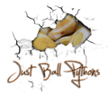 JustBallPythons's Avatar