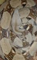 mullutmN's Avatar