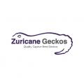 Zuricane's Avatar