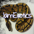 Jam Reptiles's Avatar