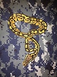 al0756's Avatar