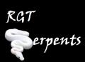 RGTserpents's Avatar