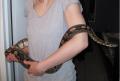 ballpython70's Avatar